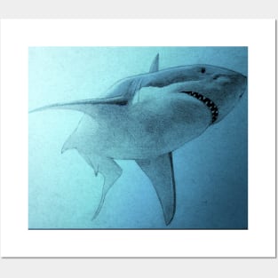 Shark Posters and Art